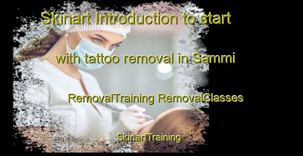 Skinart Introduction to start with tattoo removal in Sammi | #RemovalTraining #RemovalClasses #SkinartTraining-Finland