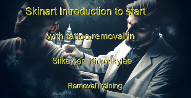 Skinart Introduction to start with tattoo removal in Siikajoen Kirkonkylae | RemovalTraining | RemovalClasses | SkinartTraining-Finland