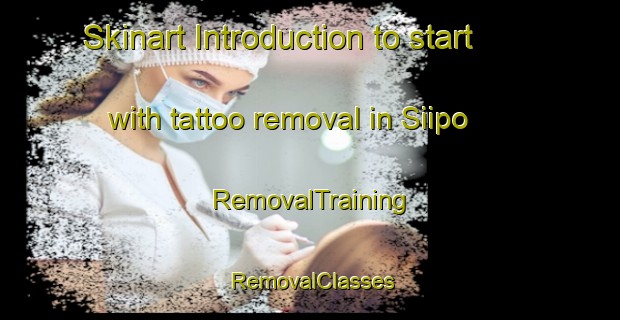 Skinart Introduction to start with tattoo removal in Siipo | RemovalTraining | RemovalClasses | SkinartTraining-Finland