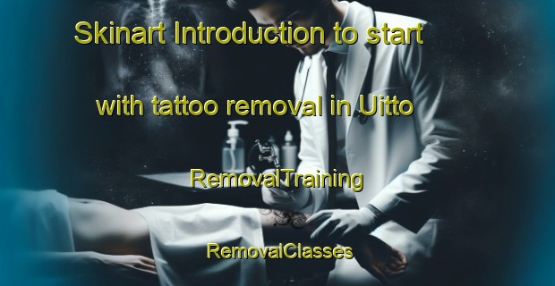 Skinart Introduction to start with tattoo removal in Uitto | RemovalTraining | RemovalClasses | SkinartTraining-Finland