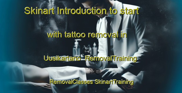 Skinart Introduction to start with tattoo removal in Uusikartano | #RemovalTraining #RemovalClasses #SkinartTraining-Finland