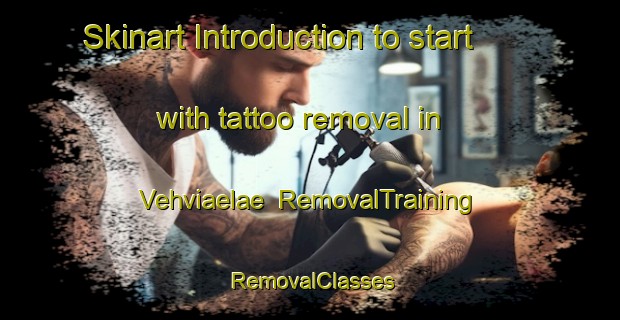Skinart Introduction to start with tattoo removal in Vehviaelae | RemovalTraining | RemovalClasses | SkinartTraining-Finland