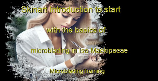 Skinart Introduction to start with the basics of microblading in Iso Maekipaeae | MicrobladingTraining | MicrobladingClasses | SkinartTraining-Finland
