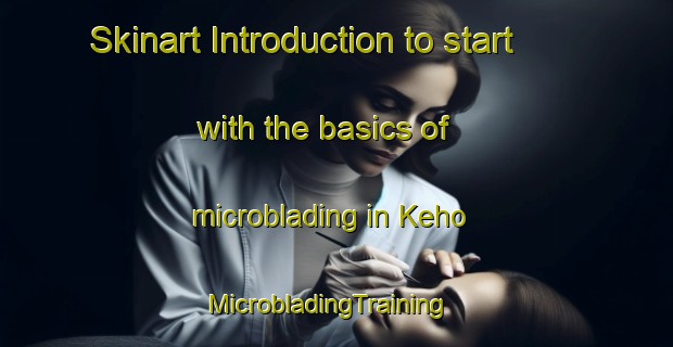 Skinart Introduction to start with the basics of microblading in Keho | MicrobladingTraining | MicrobladingClasses | SkinartTraining-Finland