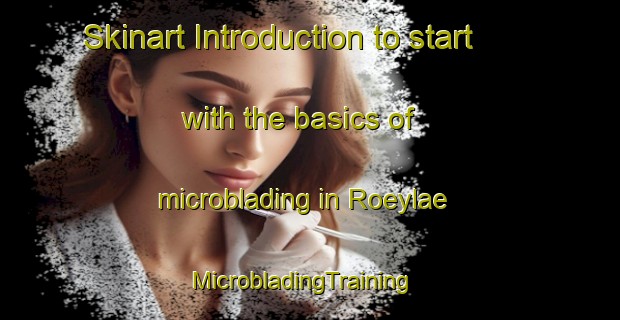 Skinart Introduction to start with the basics of microblading in Roeylae | MicrobladingTraining | MicrobladingClasses | SkinartTraining-Finland