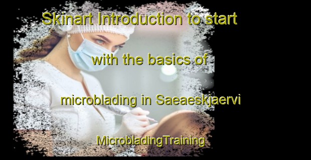 Skinart Introduction to start with the basics of microblading in Saeaeskjaervi | MicrobladingTraining | MicrobladingClasses | SkinartTraining-Finland