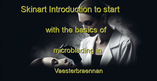 Skinart Introduction to start with the basics of microblading in Vaesterbraennan | MicrobladingTraining | MicrobladingClasses | SkinartTraining-Finland