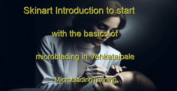 Skinart Introduction to start with the basics of microblading in Vehkataipale | MicrobladingTraining | MicrobladingClasses | SkinartTraining-Finland