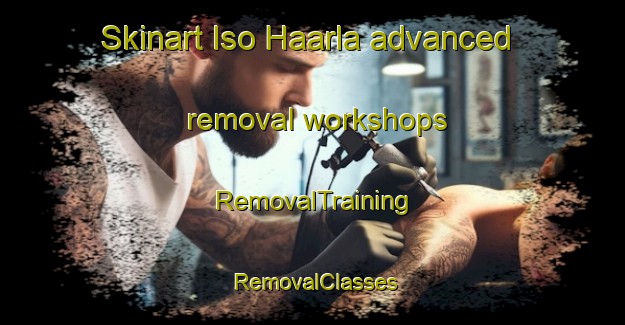 Skinart Iso Haarla advanced removal workshops | RemovalTraining | RemovalClasses | SkinartTraining-Finland