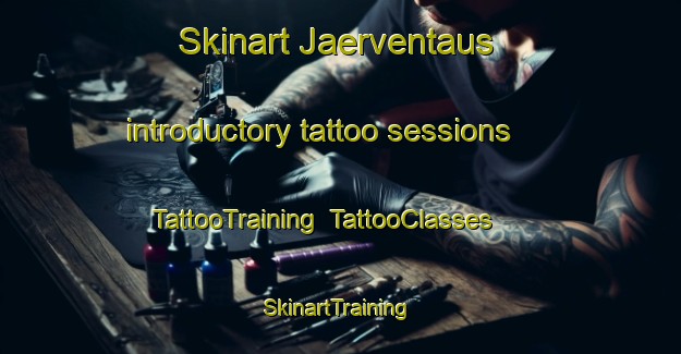 Skinart Jaerventaus introductory tattoo sessions | TattooTraining | TattooClasses | SkinartTraining-Finland