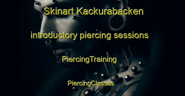 Skinart Kackurabacken introductory piercing sessions | PiercingTraining | PiercingClasses | SkinartTraining-Finland
