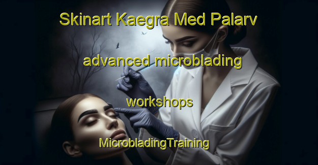 Skinart Kaegra Med Palarv advanced microblading workshops | MicrobladingTraining | MicrobladingClasses | SkinartTraining-Finland