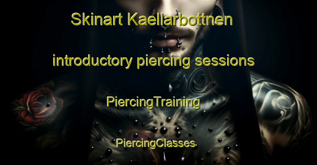 Skinart Kaellarbottnen introductory piercing sessions | PiercingTraining | PiercingClasses | SkinartTraining-Finland