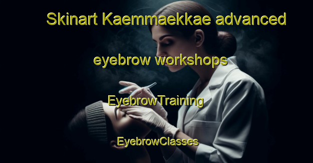 Skinart Kaemmaekkae advanced eyebrow workshops | EyebrowTraining | EyebrowClasses | SkinartTraining-Finland