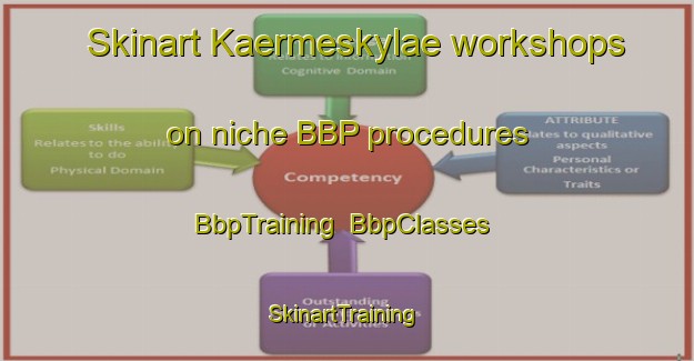 Skinart Kaermeskylae workshops on niche BBP procedures | BbpTraining | BbpClasses | SkinartTraining-Finland