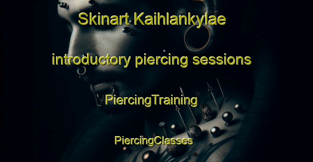 Skinart Kaihlankylae introductory piercing sessions | PiercingTraining | PiercingClasses | SkinartTraining-Finland