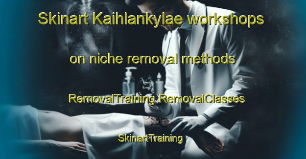 Skinart Kaihlankylae workshops on niche removal methods | #RemovalTraining #RemovalClasses #SkinartTraining-Finland