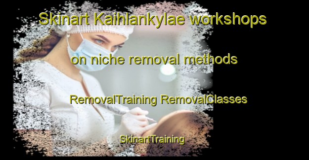 Skinart Kaihlankylae workshops on niche removal methods | #RemovalTraining #RemovalClasses #SkinartTraining-Finland