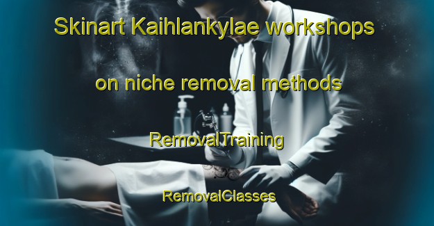 Skinart Kaihlankylae workshops on niche removal methods | RemovalTraining | RemovalClasses | SkinartTraining-Finland