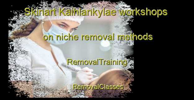 Skinart Kaihlankylae workshops on niche removal methods | RemovalTraining | RemovalClasses | SkinartTraining-Finland