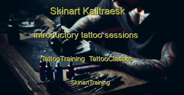 Skinart Kalltraesk introductory tattoo sessions | TattooTraining | TattooClasses | SkinartTraining-Finland