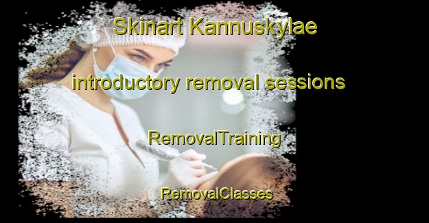 Skinart Kannuskylae introductory removal sessions | RemovalTraining | RemovalClasses | SkinartTraining-Finland