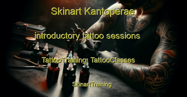 Skinart Kantoperae introductory tattoo sessions | TattooTraining | TattooClasses | SkinartTraining-Finland