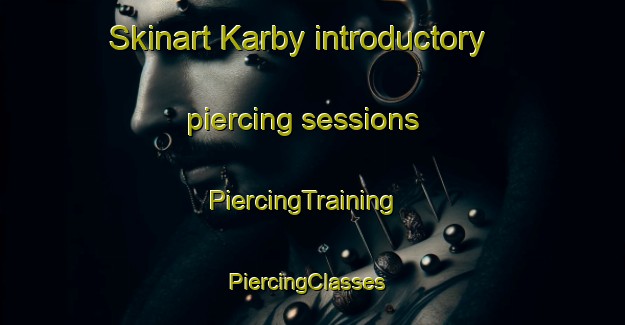 Skinart Karby introductory piercing sessions | PiercingTraining | PiercingClasses | SkinartTraining-Finland