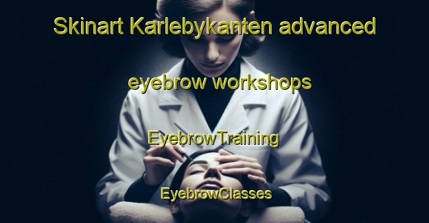 Skinart Karlebykanten advanced eyebrow workshops | EyebrowTraining | EyebrowClasses | SkinartTraining-Finland