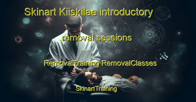 Skinart Kiiskilae introductory removal sessions | #RemovalTraining #RemovalClasses #SkinartTraining-Finland