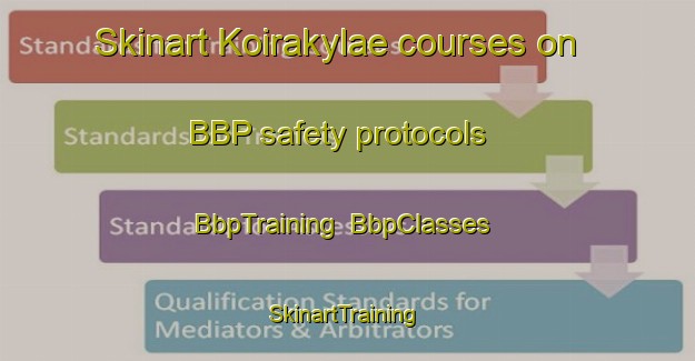Skinart Koirakylae courses on BBP safety protocols | BbpTraining | BbpClasses | SkinartTraining-Finland
