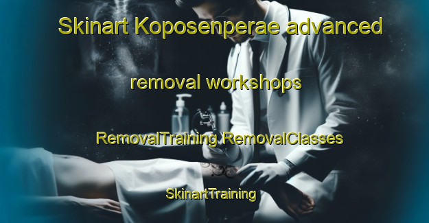 Skinart Koposenperae advanced removal workshops | #RemovalTraining #RemovalClasses #SkinartTraining-Finland