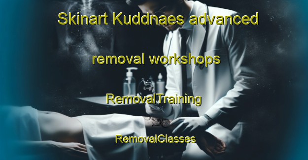 Skinart Kuddnaes advanced removal workshops | RemovalTraining | RemovalClasses | SkinartTraining-Finland