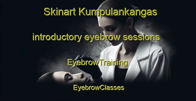 Skinart Kumpulankangas introductory eyebrow sessions | EyebrowTraining | EyebrowClasses | SkinartTraining-Finland