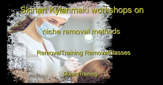 Skinart Kylanmaki workshops on niche removal methods | #RemovalTraining #RemovalClasses #SkinartTraining-Finland