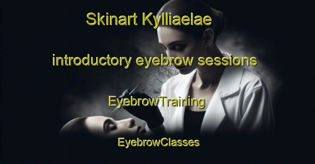 Skinart Kylliaelae introductory eyebrow sessions | EyebrowTraining | EyebrowClasses | SkinartTraining-Finland