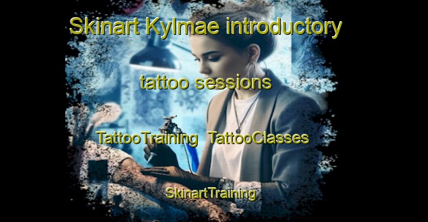 Skinart Kylmae introductory tattoo sessions | TattooTraining | TattooClasses | SkinartTraining-Finland