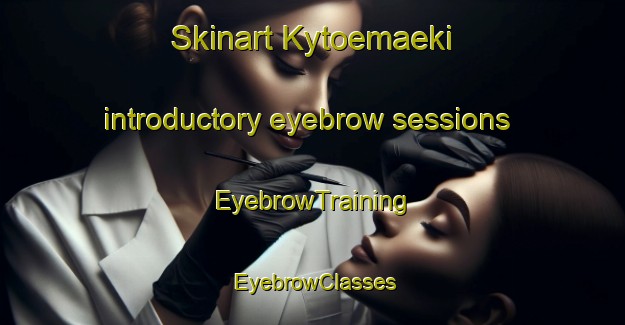 Skinart Kytoemaeki introductory eyebrow sessions | EyebrowTraining | EyebrowClasses | SkinartTraining-Finland