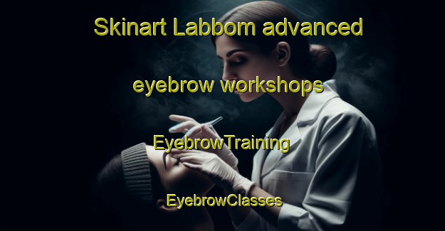 Skinart Labbom advanced eyebrow workshops | EyebrowTraining | EyebrowClasses | SkinartTraining-Finland