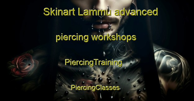Skinart Lammu advanced piercing workshops | PiercingTraining | PiercingClasses | SkinartTraining-Finland