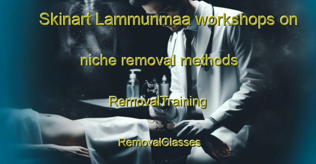 Skinart Lammunmaa workshops on niche removal methods | RemovalTraining | RemovalClasses | SkinartTraining-Finland