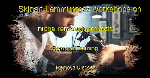 Skinart Lammunmaa workshops on niche removal methods | RemovalTraining | RemovalClasses | SkinartTraining-Finland