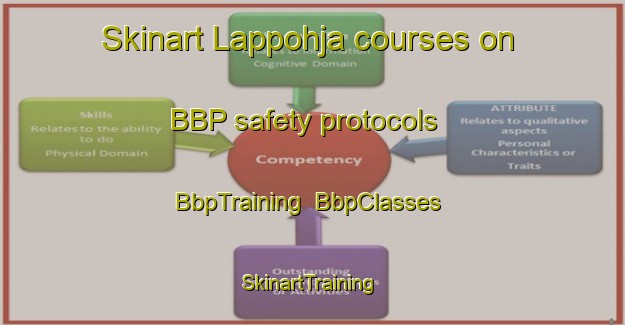 Skinart Lappohja courses on BBP safety protocols | BbpTraining | BbpClasses | SkinartTraining-Finland