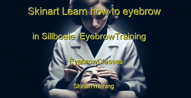 Skinart Learn how to eyebrow in Sillboele | EyebrowTraining | EyebrowClasses | SkinartTraining-Finland