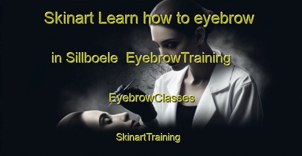 Skinart Learn how to eyebrow in Sillboele | EyebrowTraining | EyebrowClasses | SkinartTraining-Finland