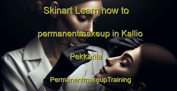 Skinart Learn how to permanentmakeup in Kallio Pekkarila | PermanentmakeupTraining | PermanentmakeupClasses | SkinartTraining-Finland