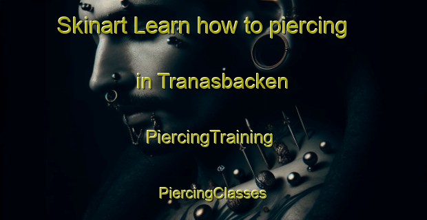 Skinart Learn how to piercing in Tranasbacken | #PiercingTraining #PiercingClasses #SkinartTraining-Finland