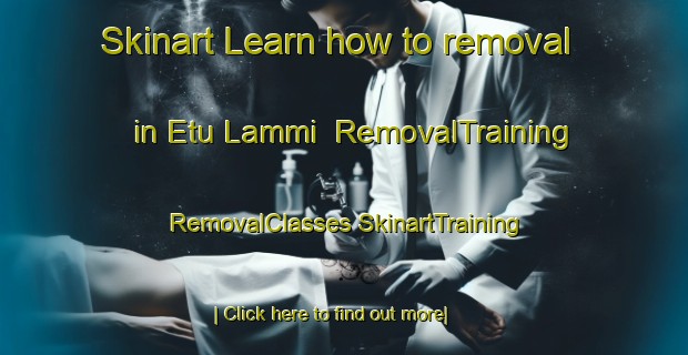 Skinart Learn how to removal in Etu Lammi | #RemovalTraining #RemovalClasses #SkinartTraining-Finland