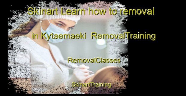 Skinart Learn how to removal in Kytaemaeki | RemovalTraining | RemovalClasses | SkinartTraining-Finland