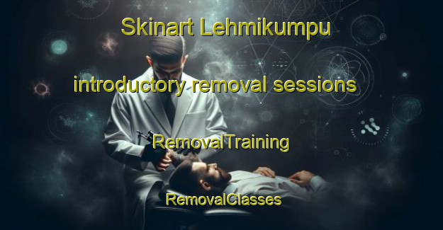 Skinart Lehmikumpu introductory removal sessions | RemovalTraining | RemovalClasses | SkinartTraining-Finland